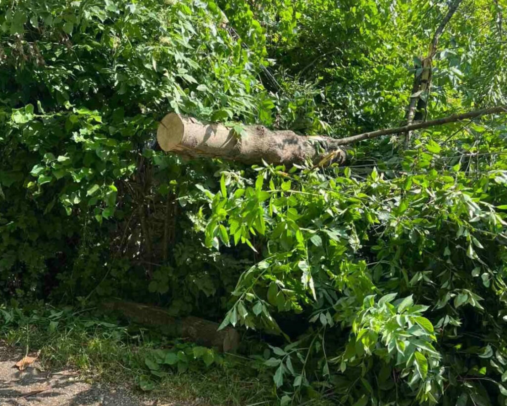 Через негоду на Прикарпатті фіксують аварійні вимкнення світла