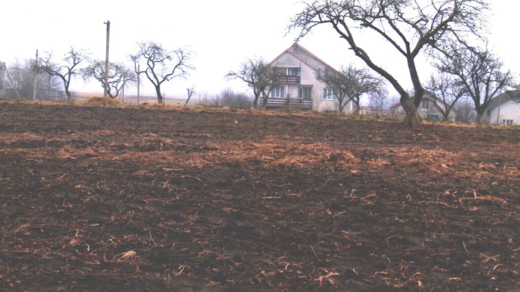 На Лімниці та Дністрі археологи виявили сліди двох цивілізацій