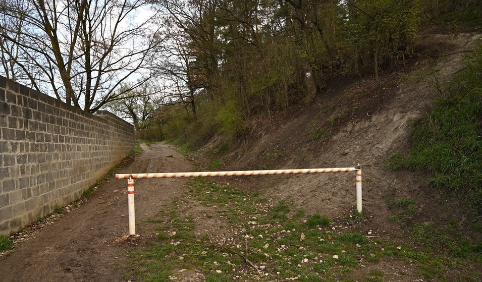 Грунтова дорога, перекрита шлагбаумом біля стіни лісу.
