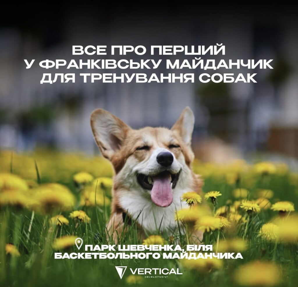 Перший у Франківську: як Vertical реалізувала тренувальний майданчик для собак у парку Шевченка