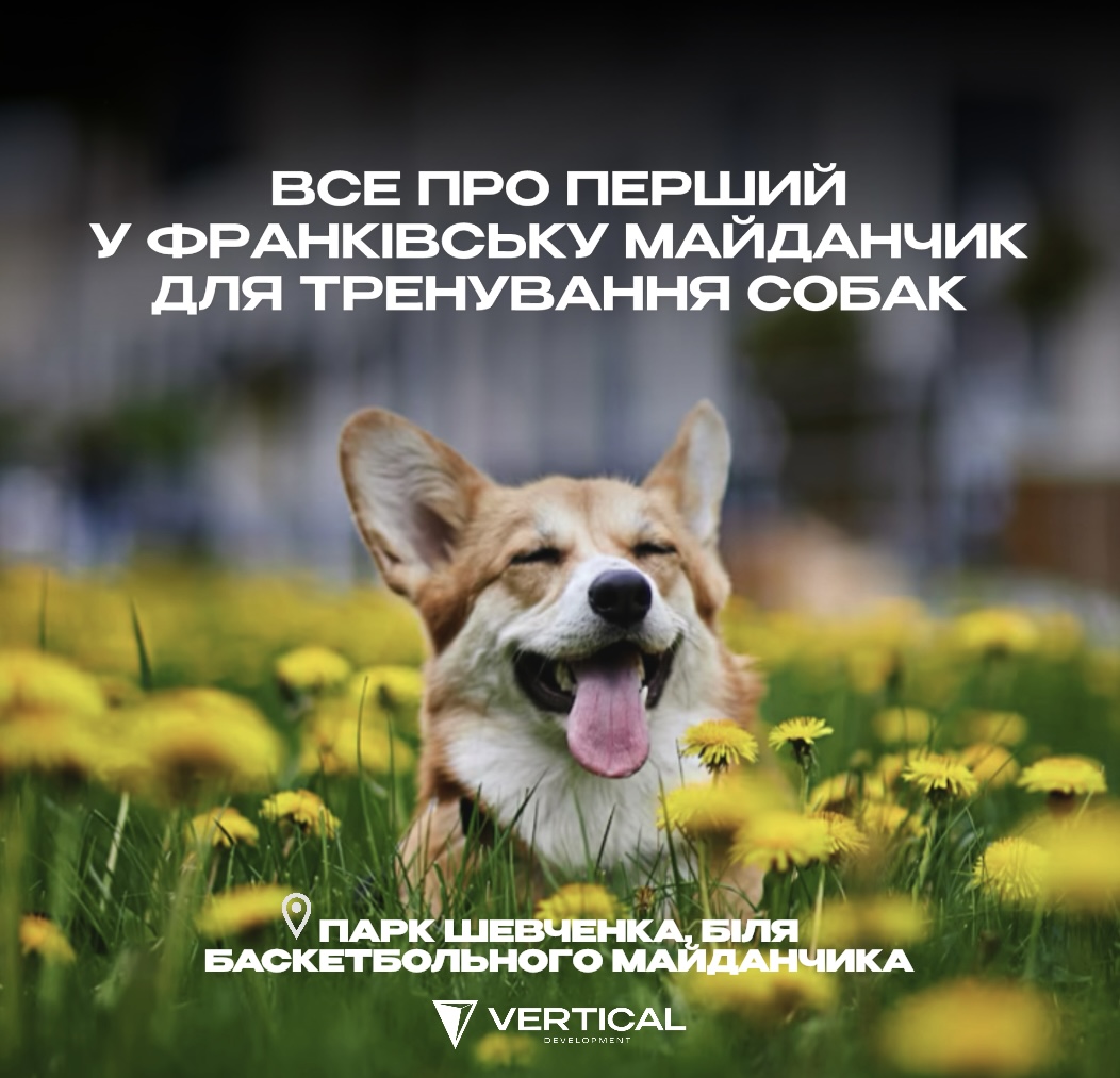 Перший у Франківську: як Vertical реалізувала тренувальний майданчик для собак у парку Шевченка