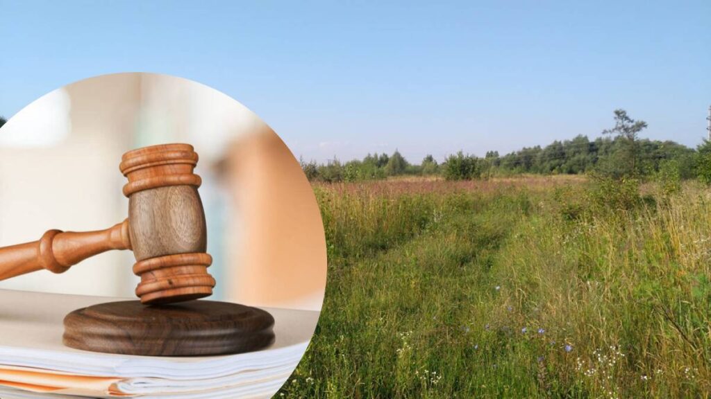 Суддівський молоток і поле природи