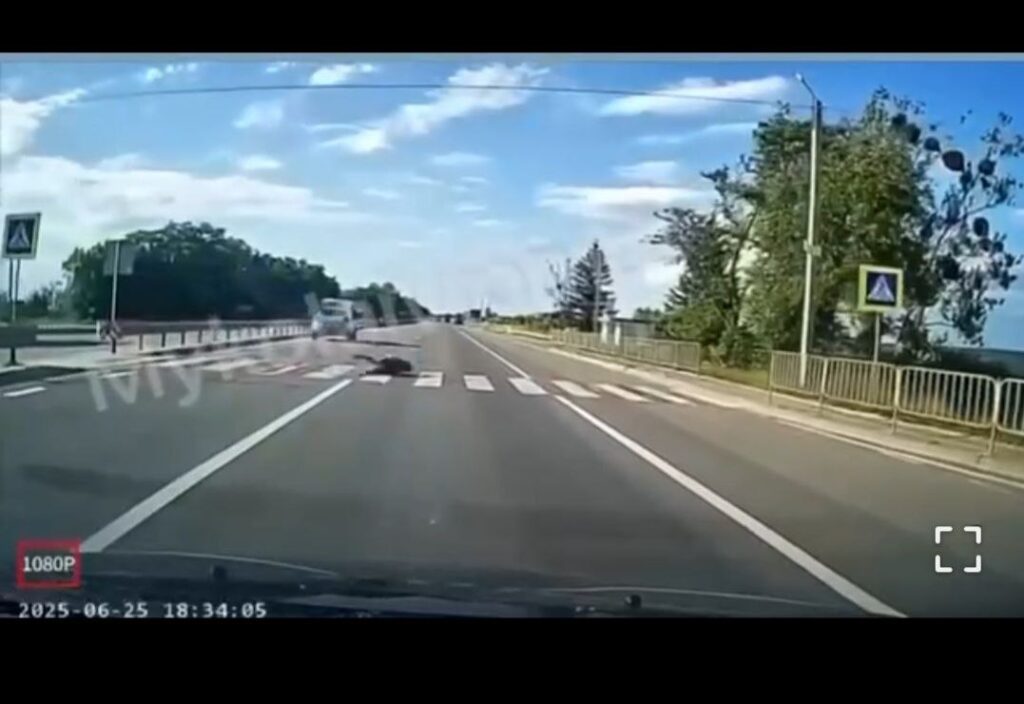 На Львівщині поліцейська машина збила підлітка на переході