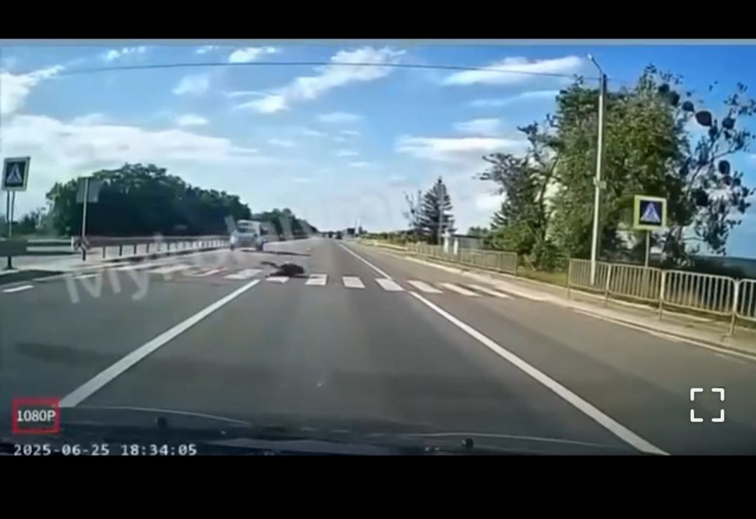 На Львівщині поліцейська машина збила підлітка на переході