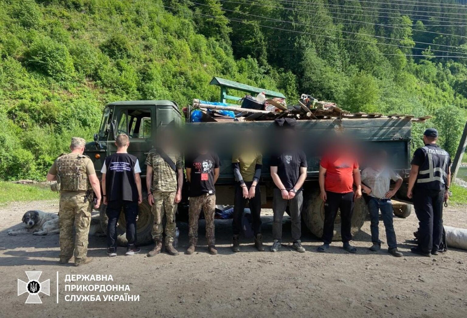 На Закарпатті чоловіки намагались перетнути кордон, заховавшись серед худоби