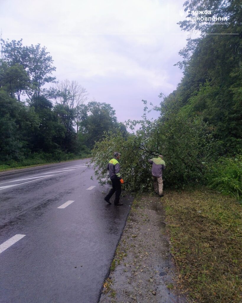 Працівники прибирають повалене дерево з дороги