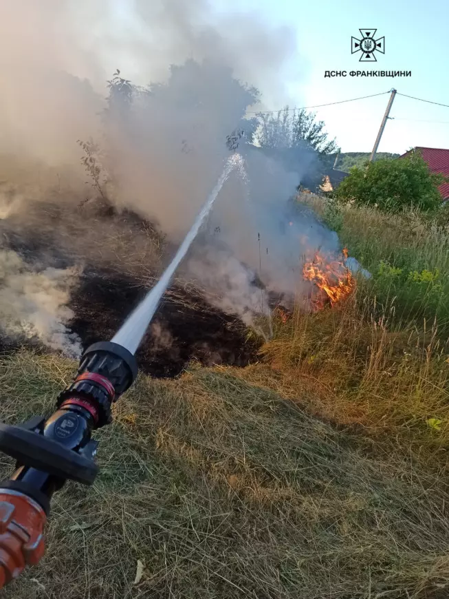 Гасіння пожежі в трав'янистій місцевості.