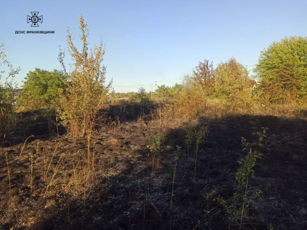 На Франківщині, через паліїв трави, згоріло домогосподарство разом із будинком