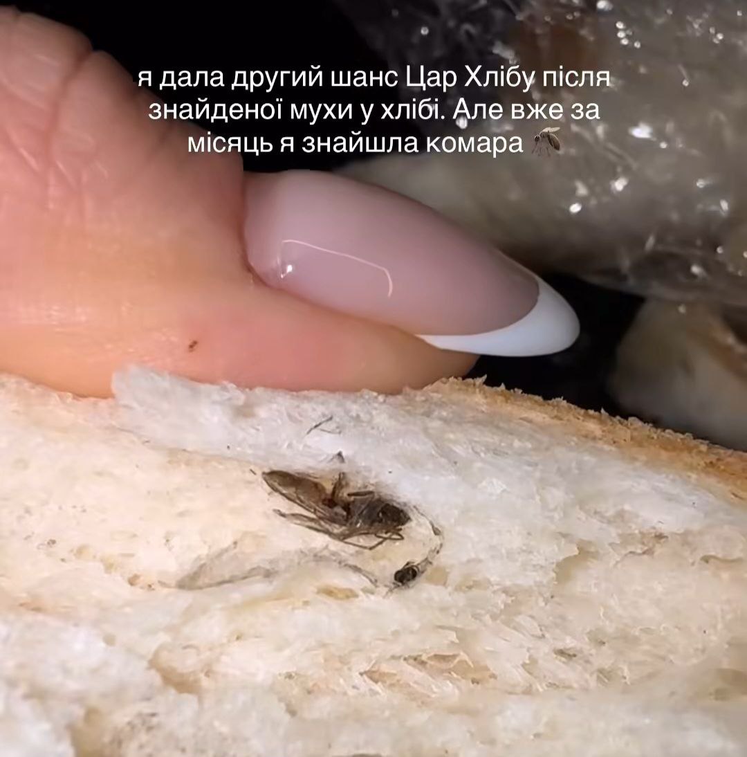 Відома фракнівська блогерка Саша Бо вже кілька разів знаходила комах у хлібі популярної місцевої пекарні