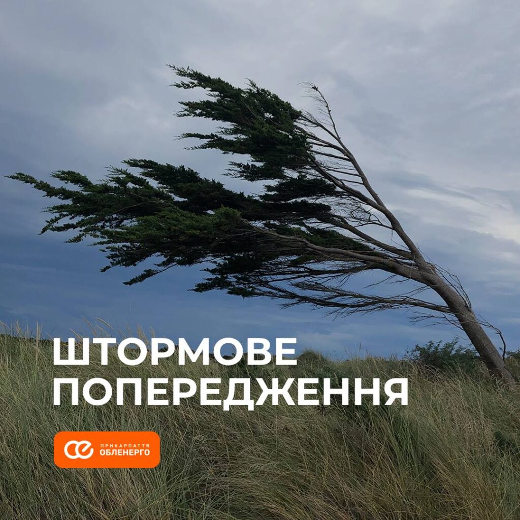 Дерево нахилилося на вітрі, штормове попередження.
