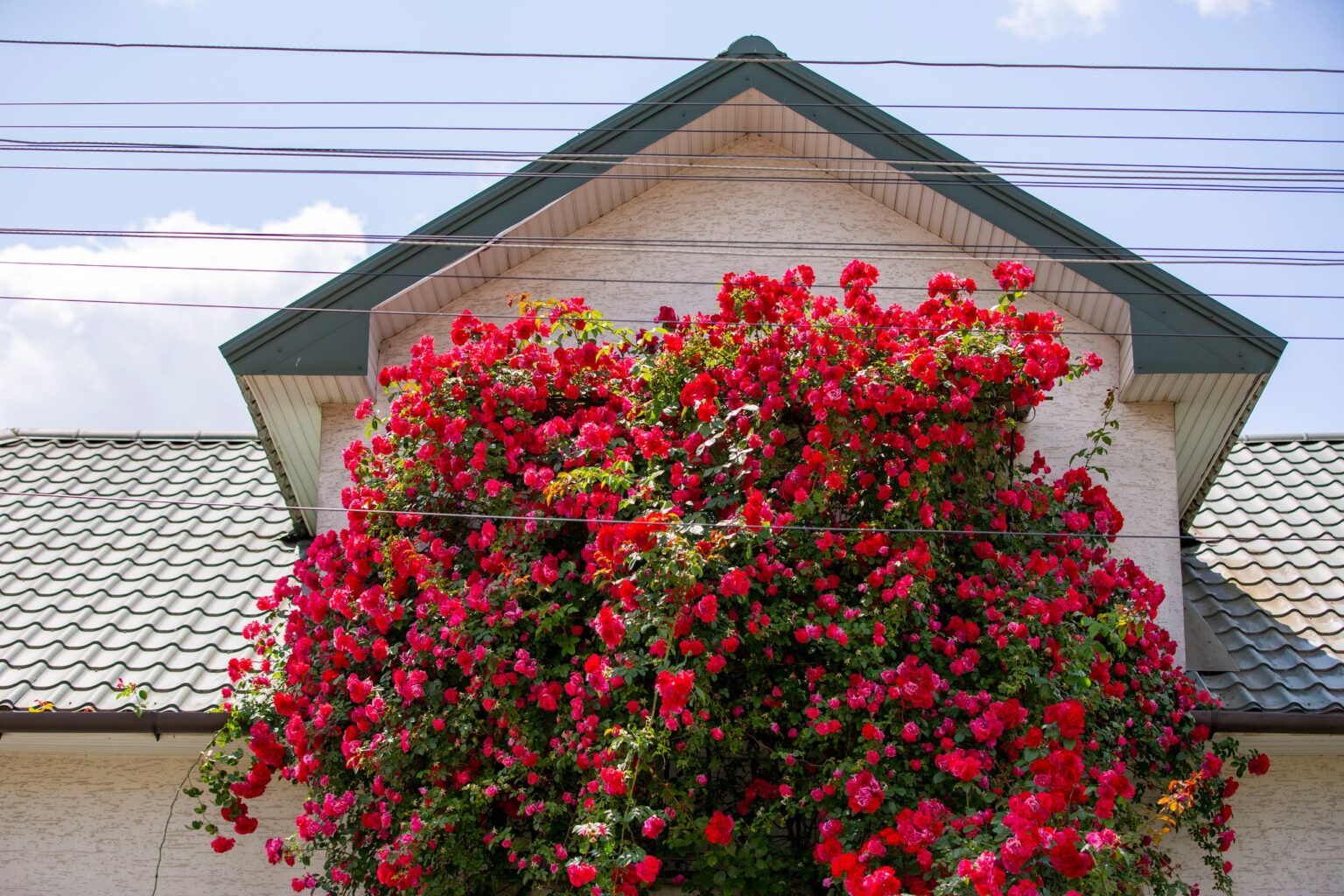 Погода на Івано-Франківщині 4 липня