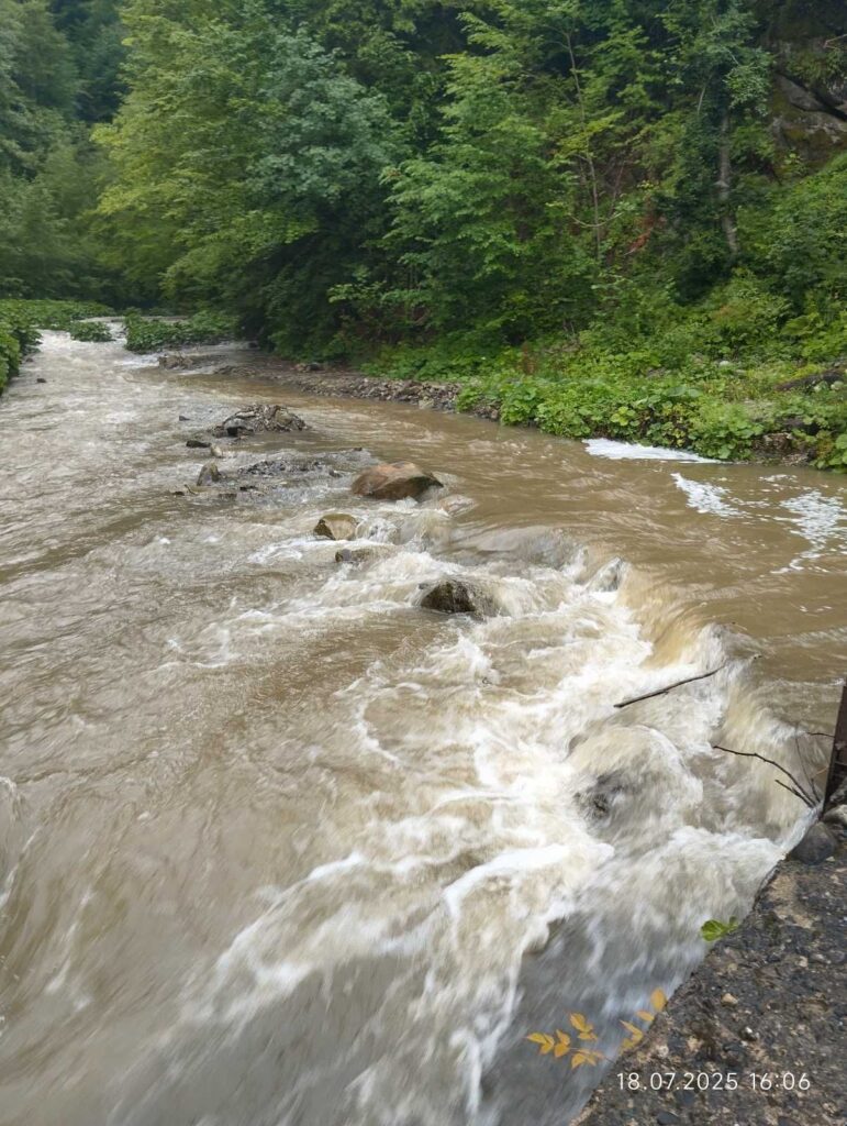 Стрімкий потік води в лісовій місцевості