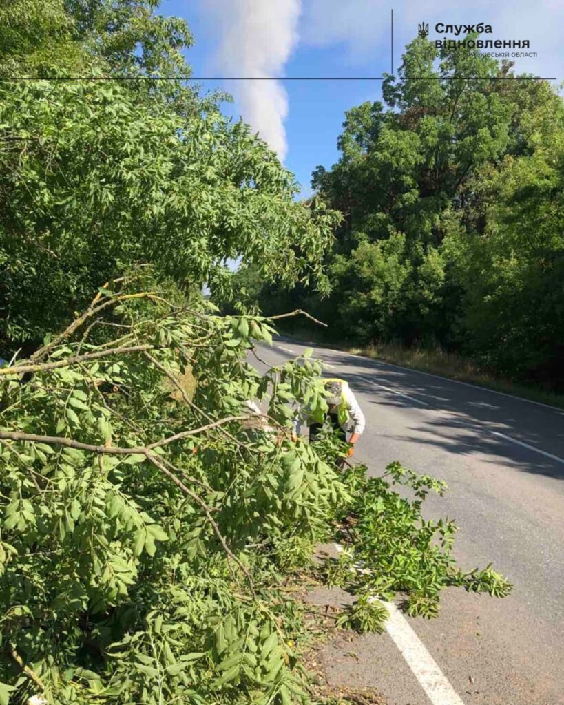 Видалення гілок з дороги після бурі