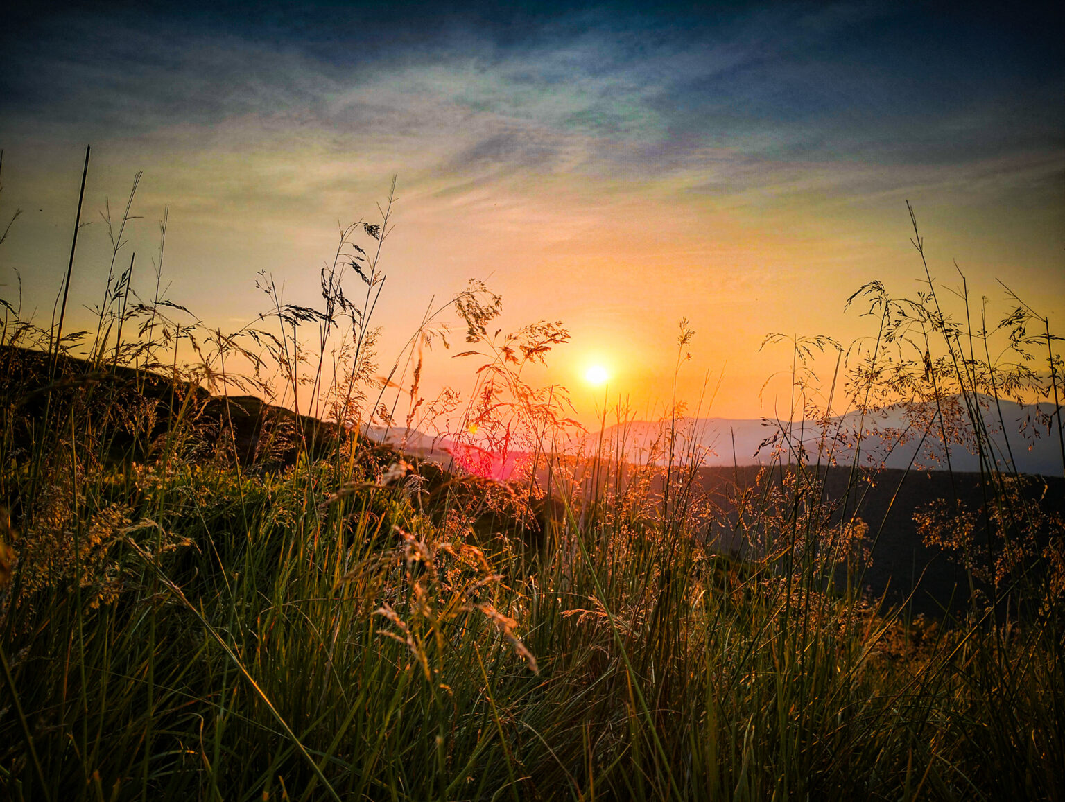 Погода в Івано-Франківській області в останній день липня