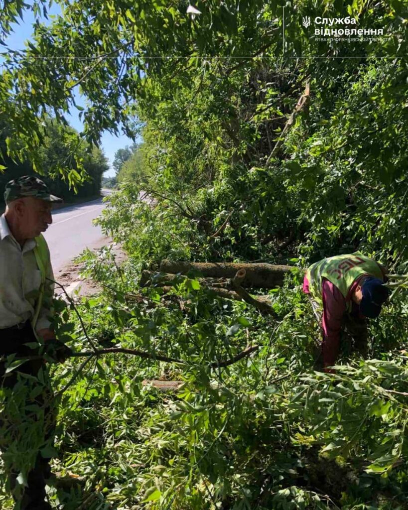 Робітники обрізають дерева біля дороги