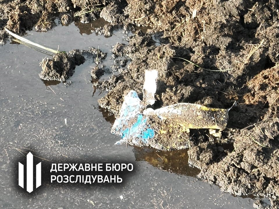 Уламки літака в багні на краю водойми