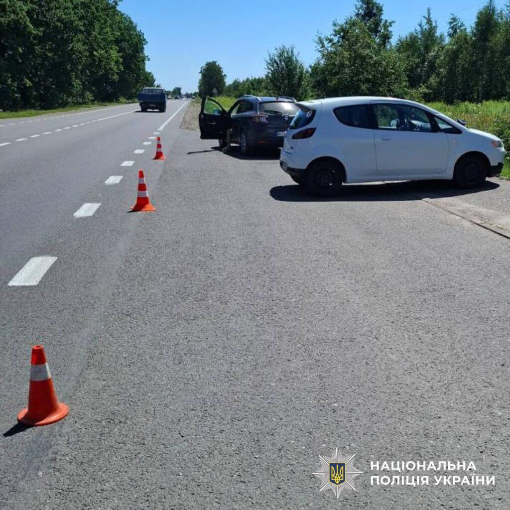 Авто зупинилося на узбіччі траси, конуси на дорозі.