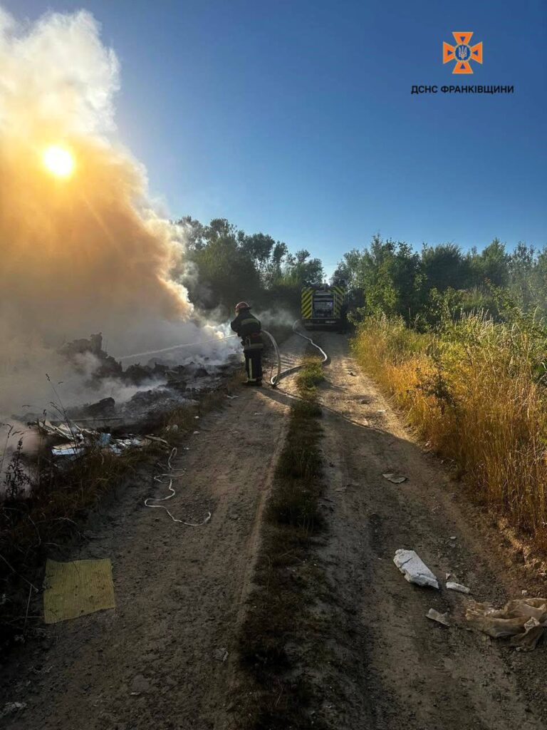 Рятувальники гасять пожежу в лісі на заході сонця