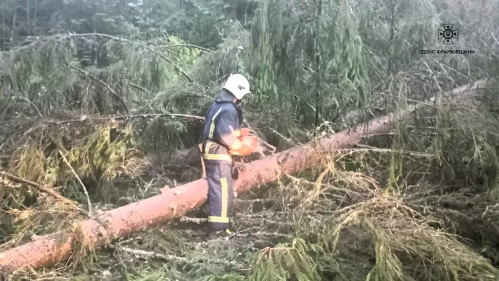 Рятувальник розпилює дерево після бурі в лісі.