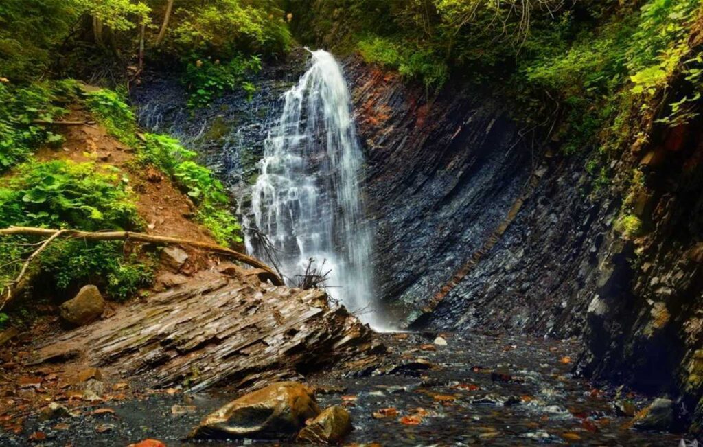 Цього тижня у Татарові відбудеться традиційний благодійний велопробіг на підтримку ЗСУ