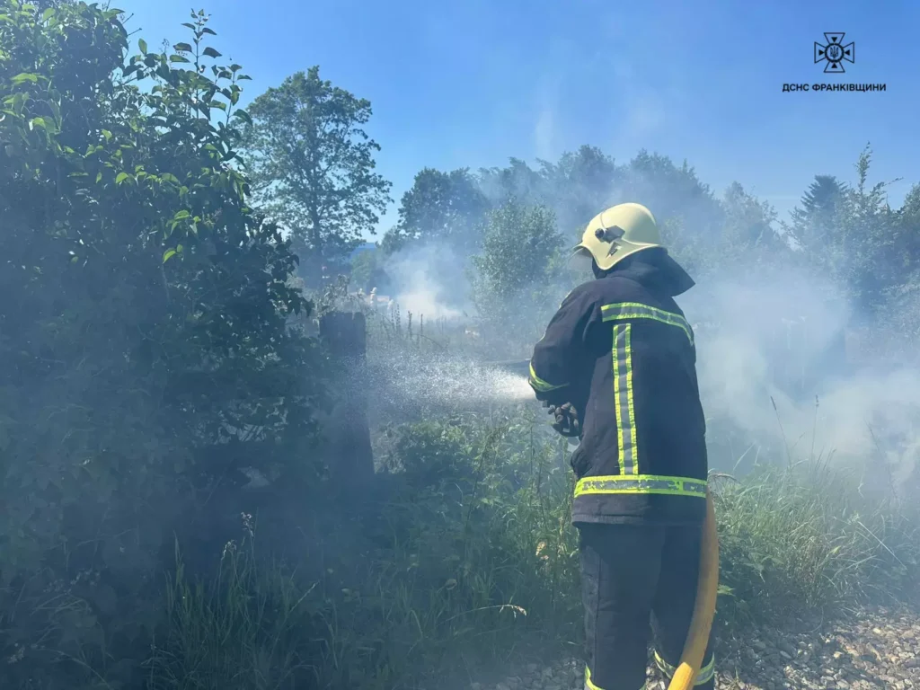 Пожежник гасить полум'я в лісі димовий день