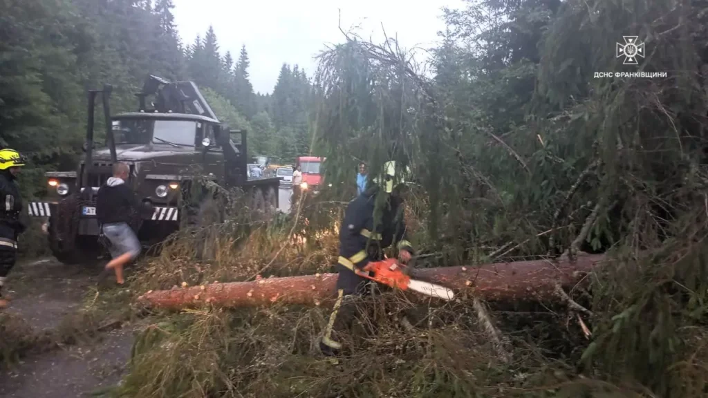 Рятувальник розпилює дерево на лісовій дорозі.