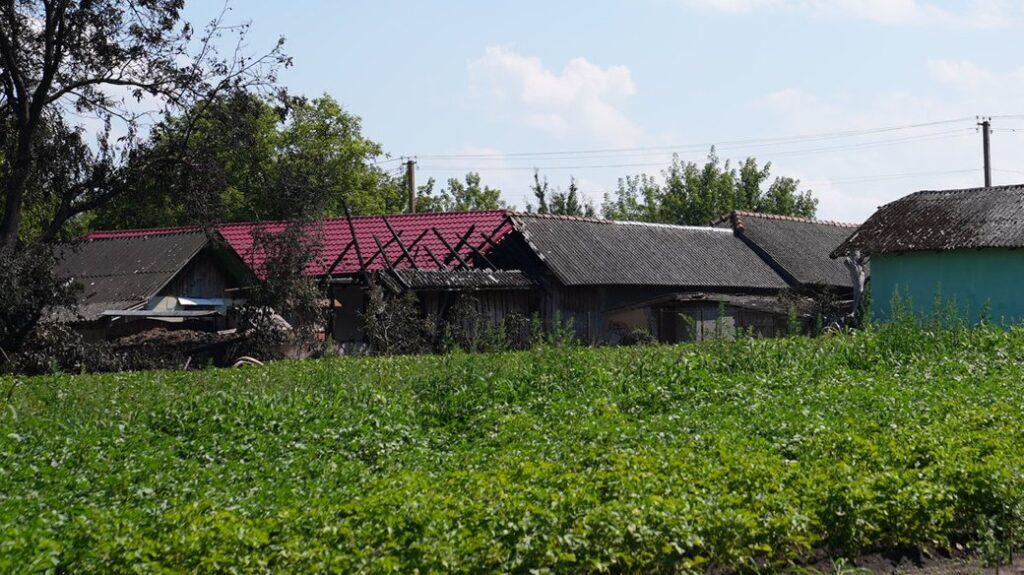 Сільський дім із зеленими полями навколо
