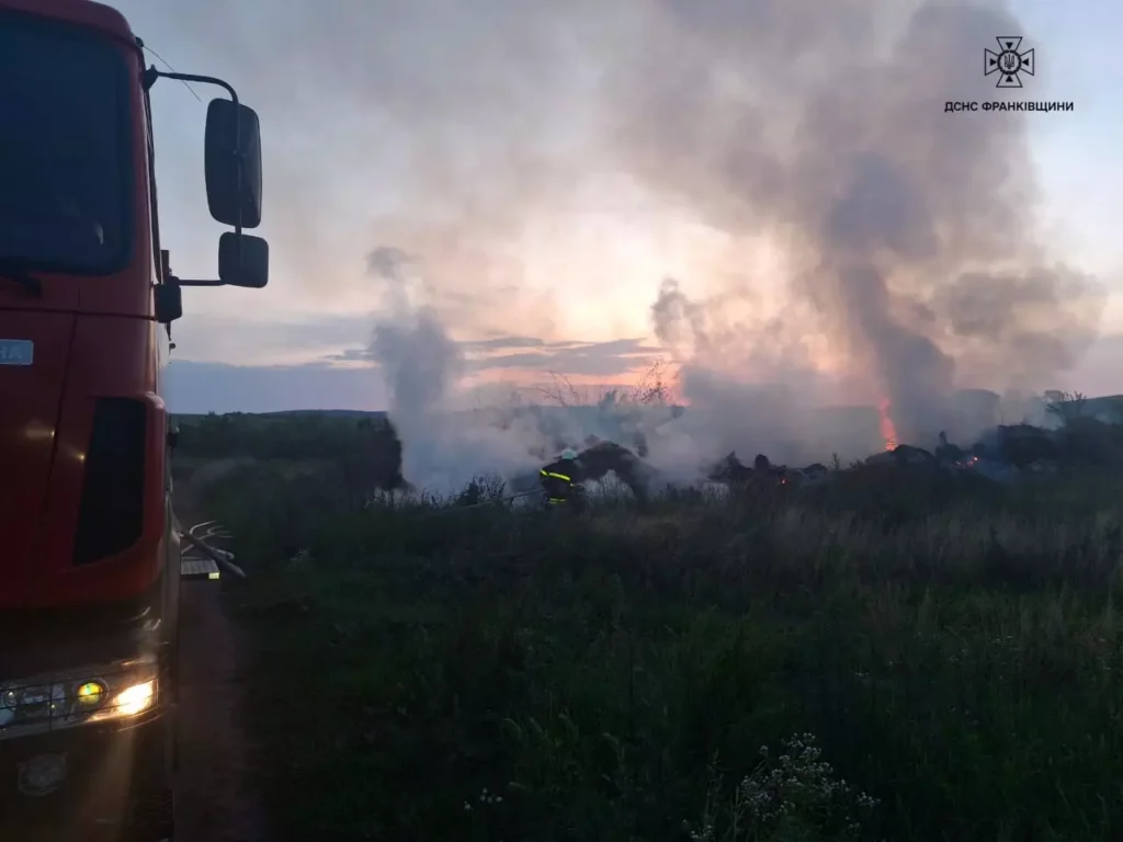Пожежники гасять вогонь на трав'янистій території