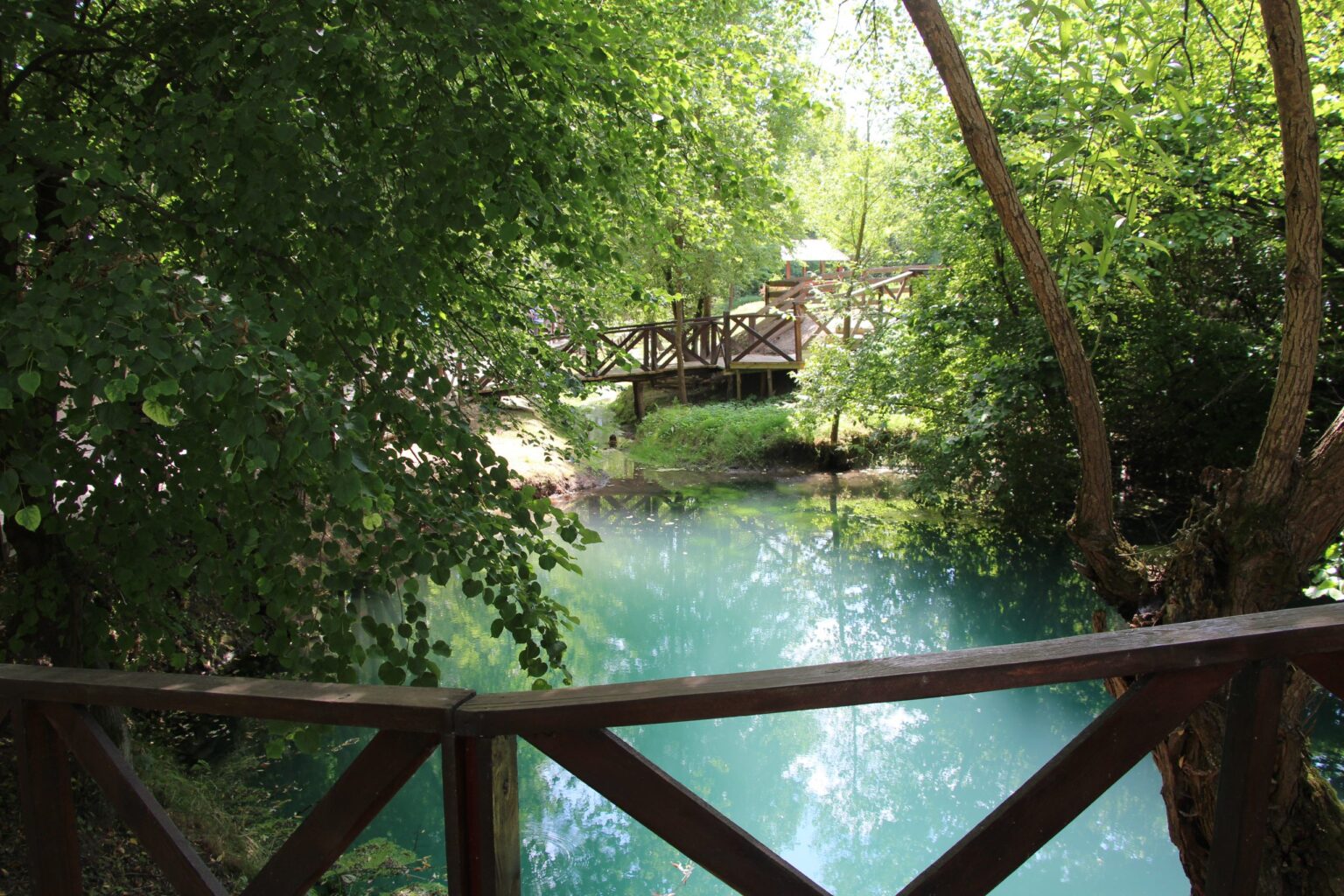 “Тут продають тишу”: як у прикарпатське село Озерце з трьома мешканцями планують повертати людські голоси