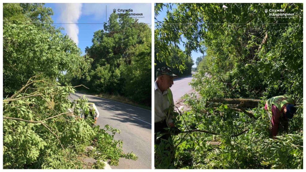 Працівники розчищають дорогу від дерев у лісі.