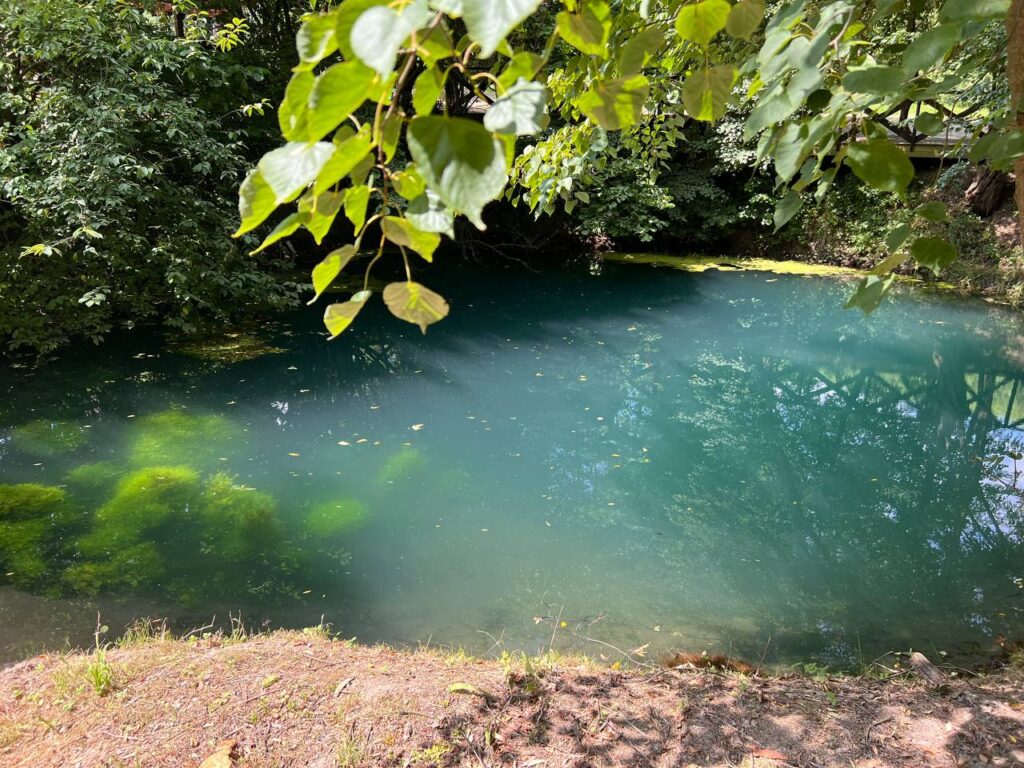 Ставок з прозорою водою, оточений зеленню.