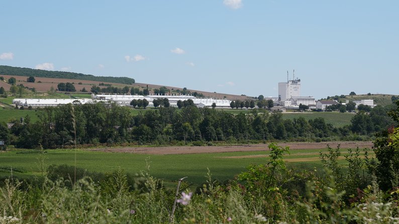 Жителі Рогатинської громади третій рік потерпають від смороду зі свиноферми