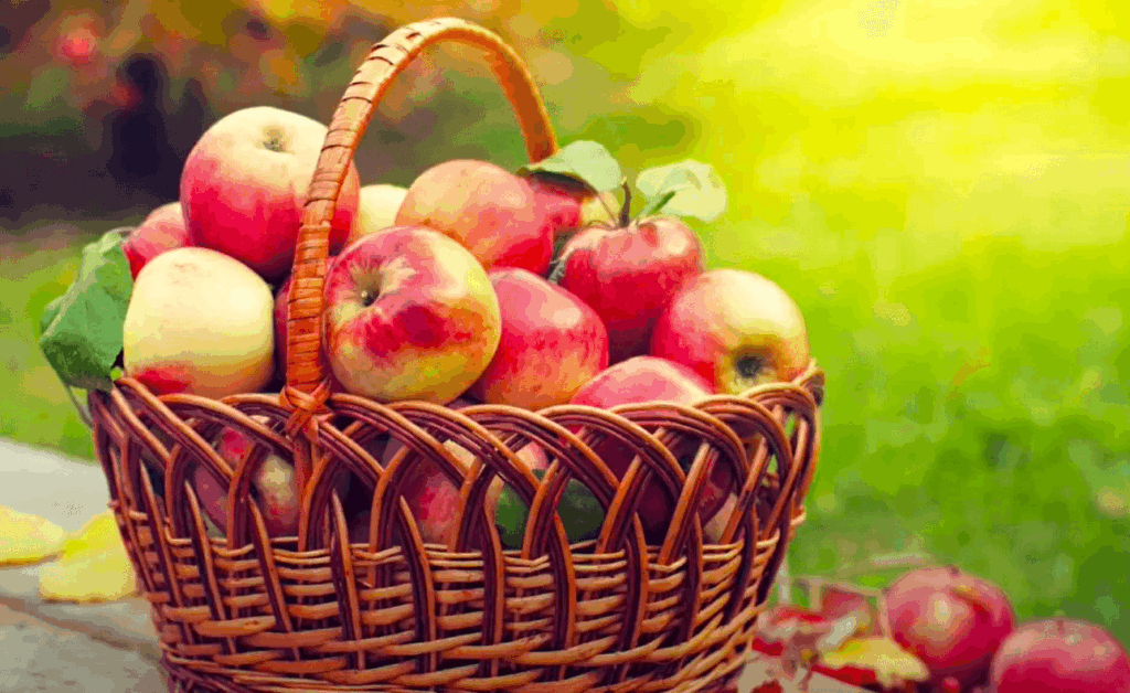 Кошик з червоними яблуками на природі