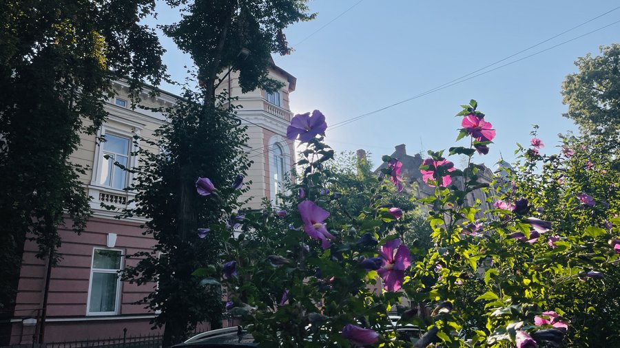 Погода на Івано-Франківщині 11 серпня