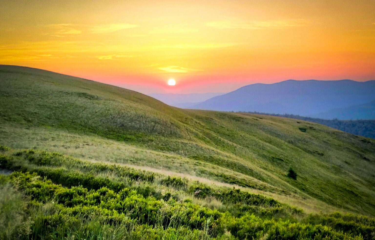 Погода в Івано-Франківську та області 7 серпня