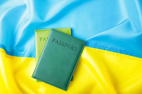 Волонтерська віза та ВНЖ для волонтерів в Україні: законні підстави для перебування
