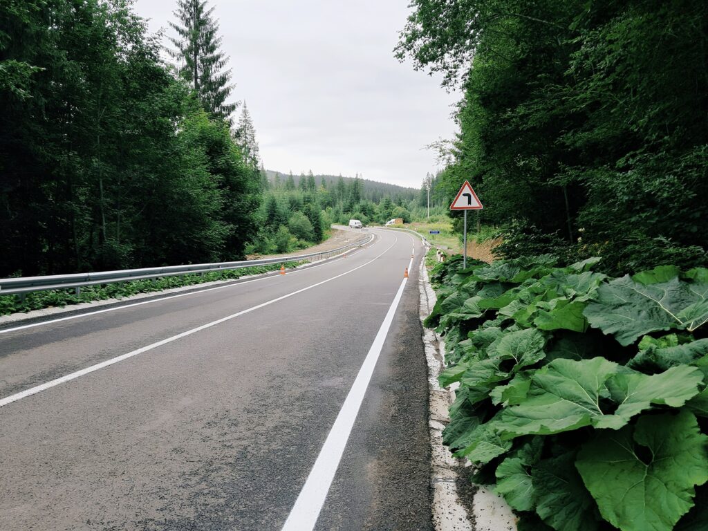 Лісова дорога з поворотом, дорожній знак.