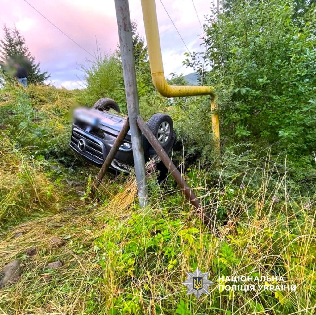 Перевернутий автомобіль серед кущів і трави.
