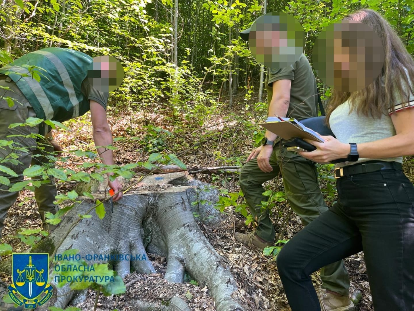 Слідчі оглядають місце вирубки дерев у лісі.