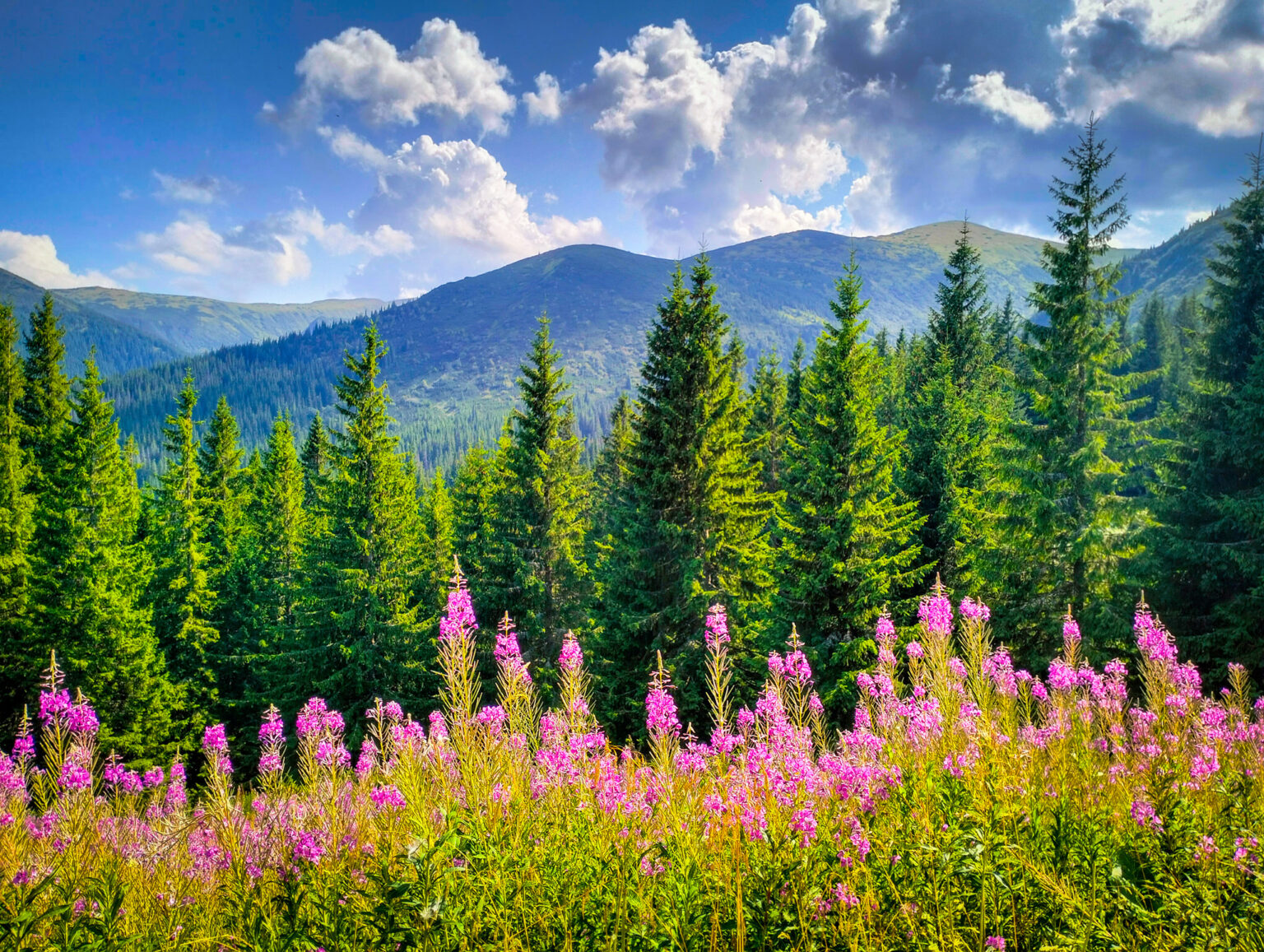 Якою буде погода на Івано-Франківщині 26 серпня