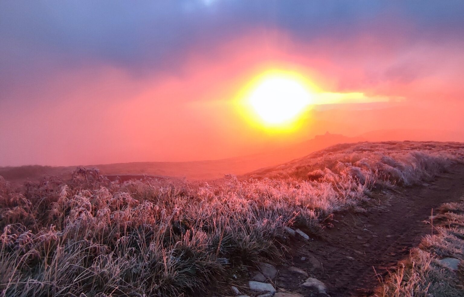 Якою буде погода в Івано-Франківській області 25 серпня