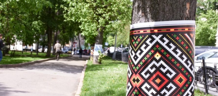 У Франківську дерева одягнуть у спеціальні «вишиванки»