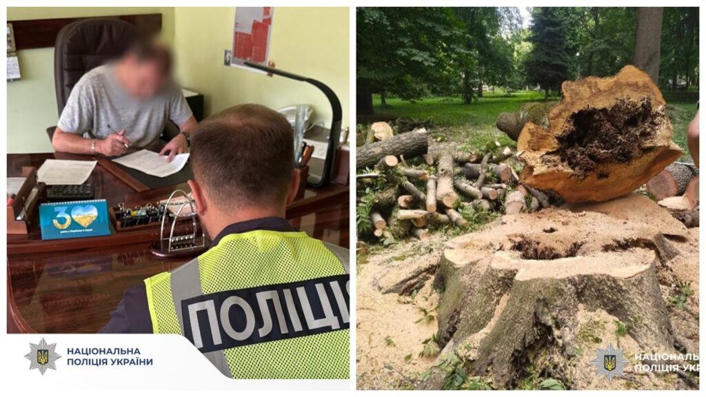 Поліцейське розслідування вирубки дерев у парку.