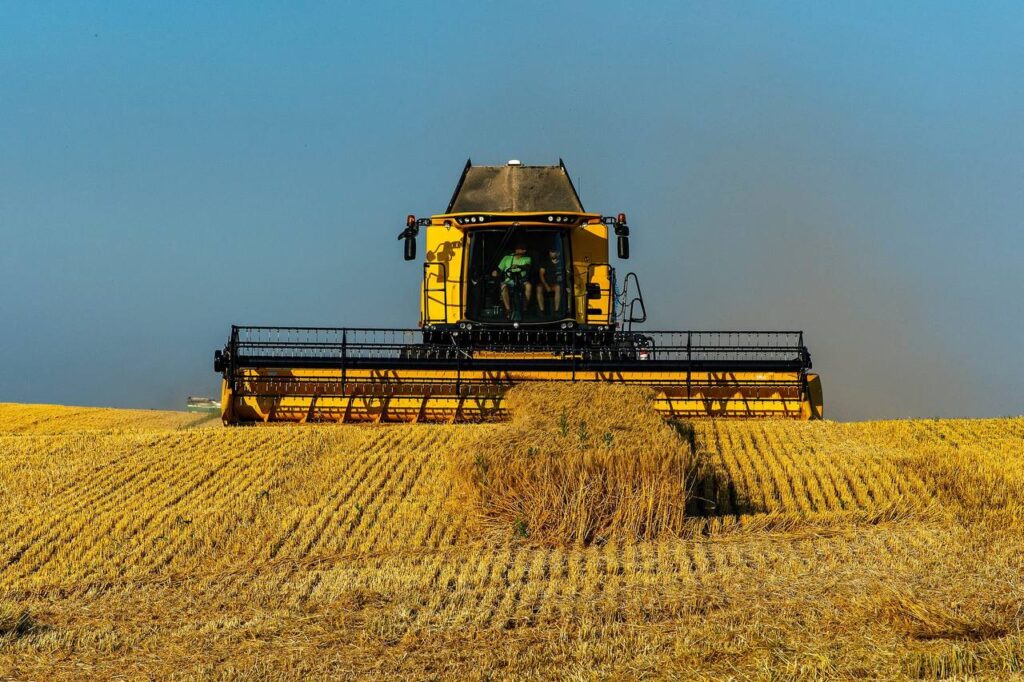 Прикарпатські аграрії завершили жнива ранніх зернових культур