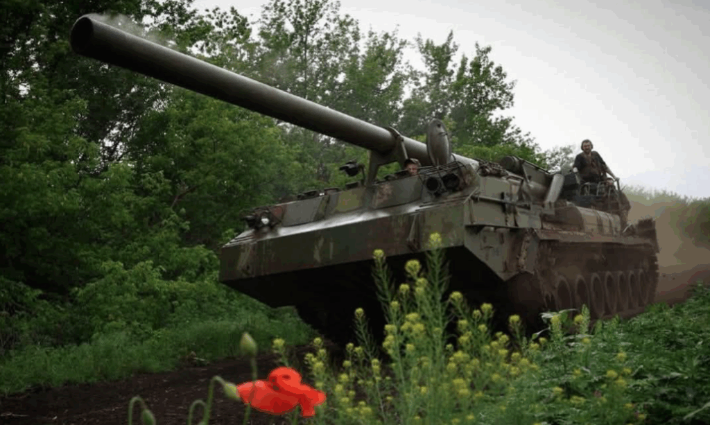 Військова техніка у лісі з червоним маком спереду.