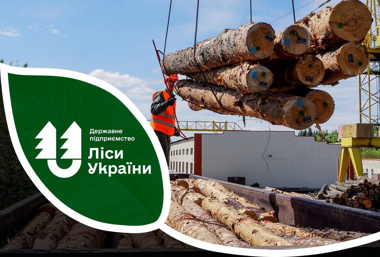 З початку року філія «Карпатський лісовий офіс» передала для ЗСУ майже 7000 м³ деревини