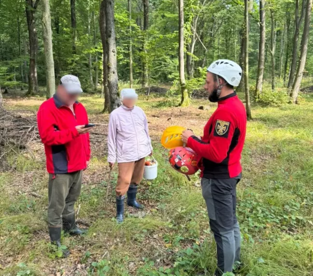 На Прикарпатті розшукали заблукалих грибників