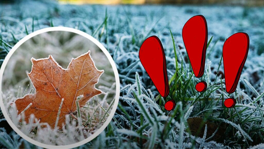 Прогнозують сильні заморозки: якою буде погода на Прикарпатті 27 вересня