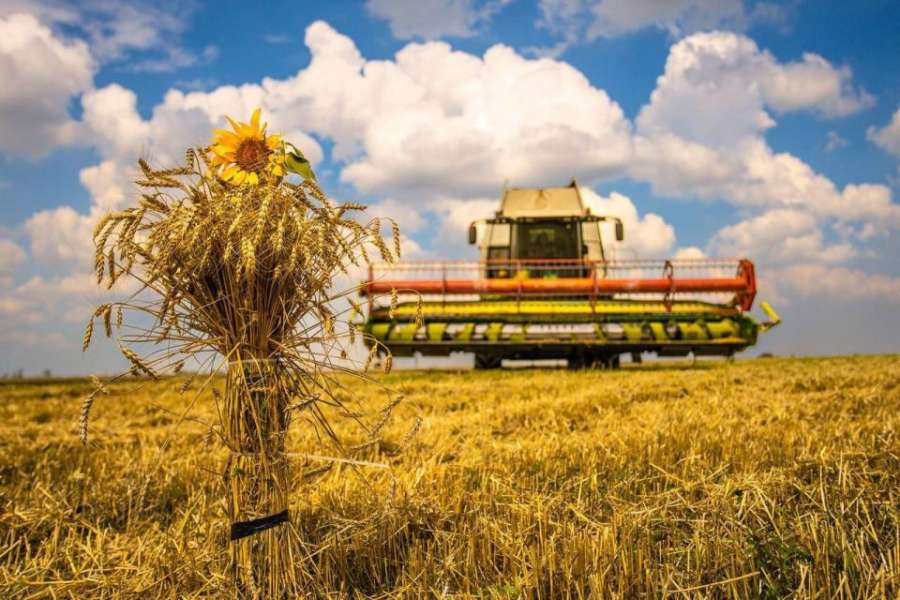 На Прикарпатті закінчили збір ранніх зернових