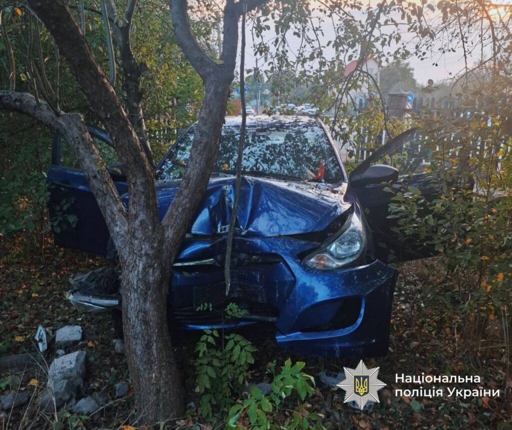 В передмісті Франківська легковик влетів у приватне подвір'я